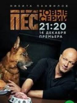 Пёс 2 сезон